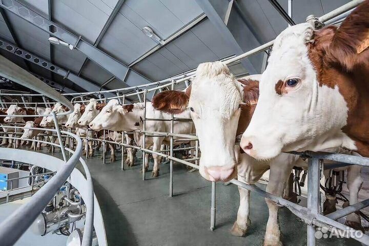 Разнорабочий на производство (вахта)