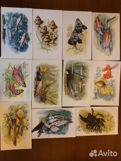 Открытки наборы СССР