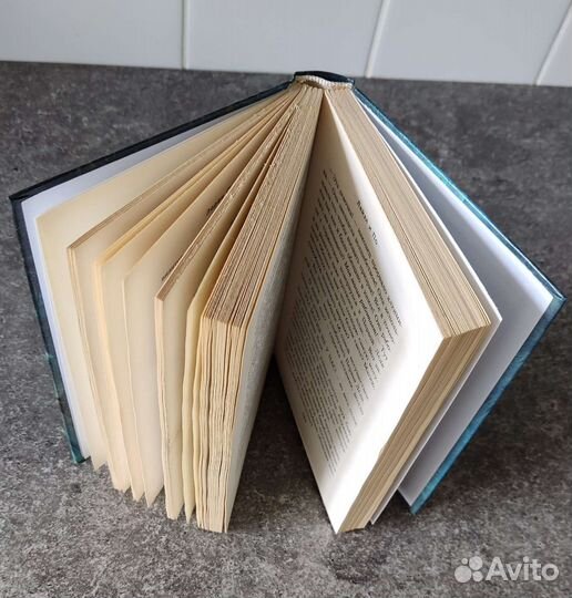 Книга Лорен Оливер - Лайзл и По