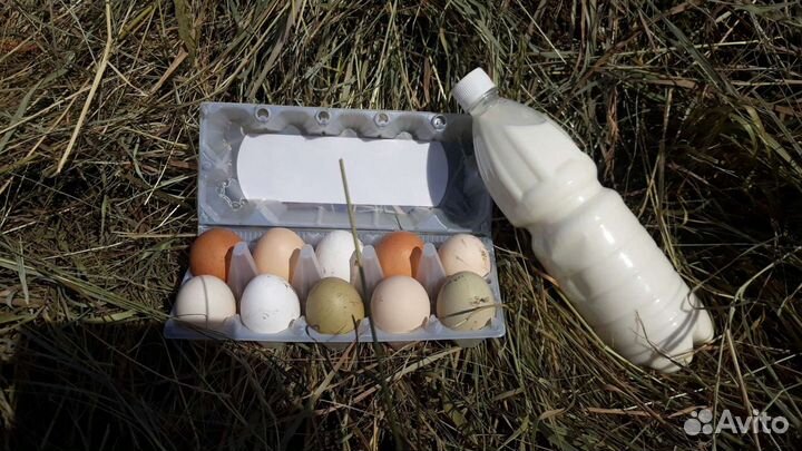 Козье молоко и сыр