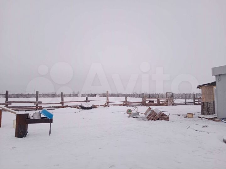 Участок 100 сот. (СНТ, ДНП)