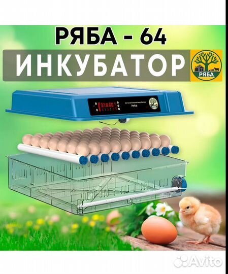 Инкубатор Ряба-64