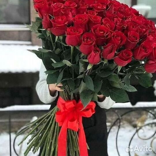 Розы гиганты 140 150 160 170 180 200