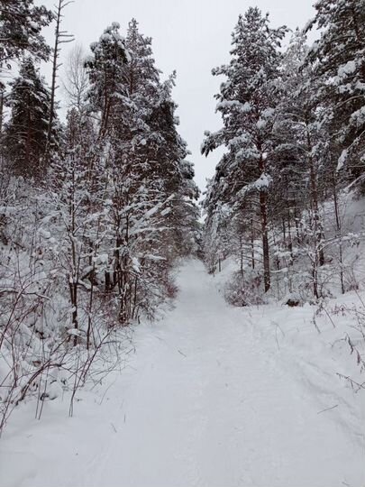 Участок 32 сот. (ИЖС)