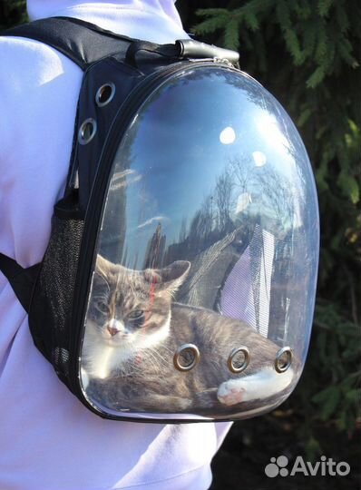 Переноска для кошек рюкзак