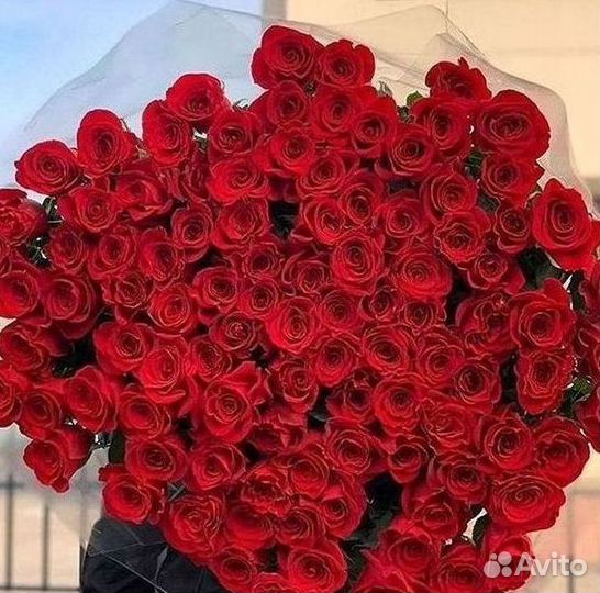 Высокие розы Гигантские Розы 150 160 170 180 190см