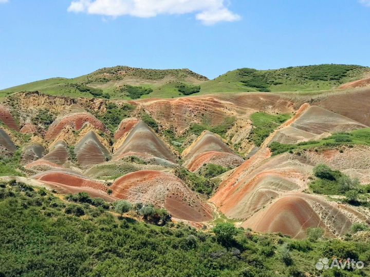 Тбилиси Топ-Экскурсия Грузинское сафари в мини-гру