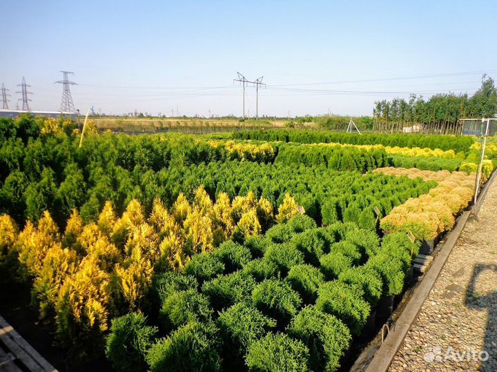 Разнорабочий вахта с жильем в Москве 25/35/45 смен