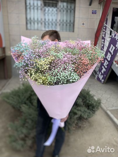 Цветы/букет из гипсофилы/радужная гипсофила