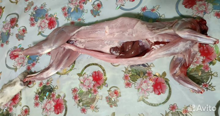 Мясо кролика