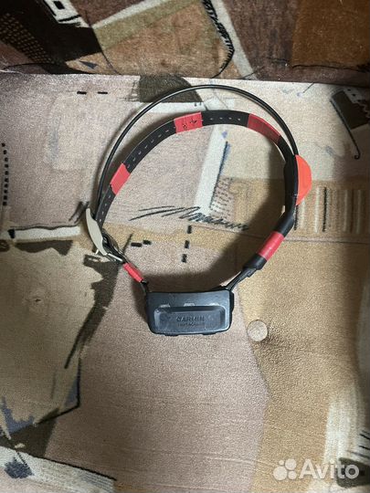 Ошейник garmin t5 (Европа)