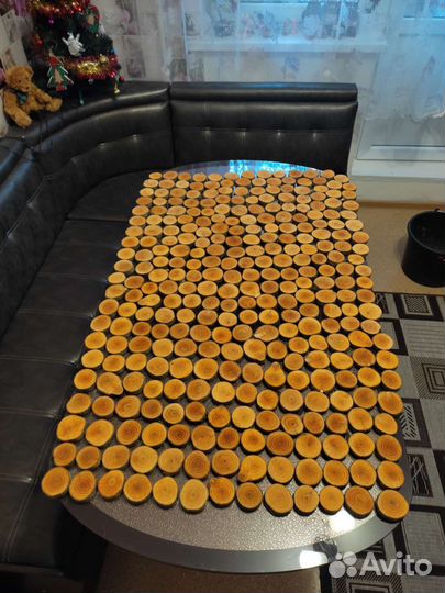 Торцевые спилы деревьев