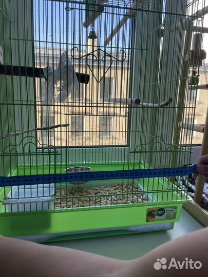 Клетка и стенд для средних попугаев