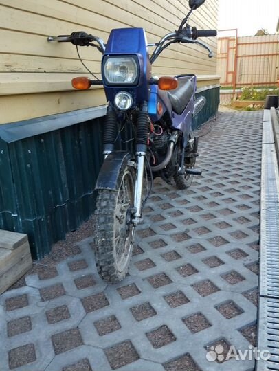 Зид пилот 50