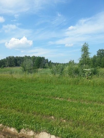 Участок 22 сот. (СНТ, ДНП)