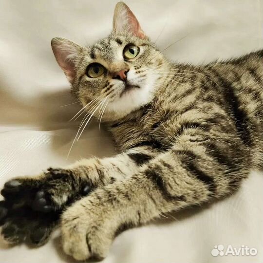 Ивочку никто не замечает