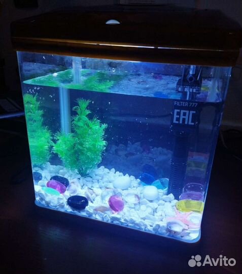 Аквариум