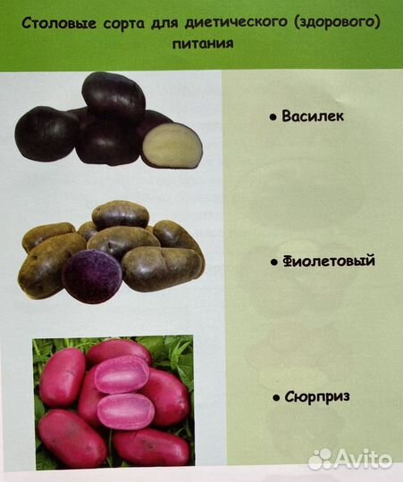 Семенной картофель высших категорий качества
