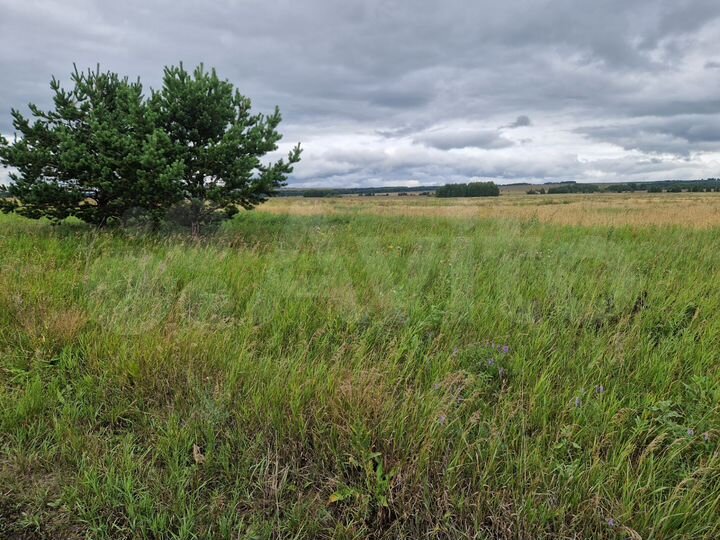 Участок 10 га (СНТ, ДНП)