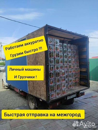 Грузоперевозки Газель Заказать Грузчики Межгород