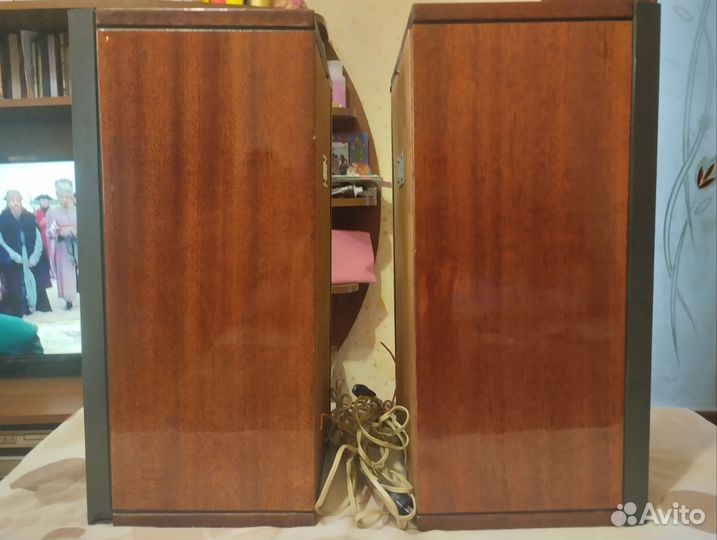 Акустические колонки Вега 15ас-404