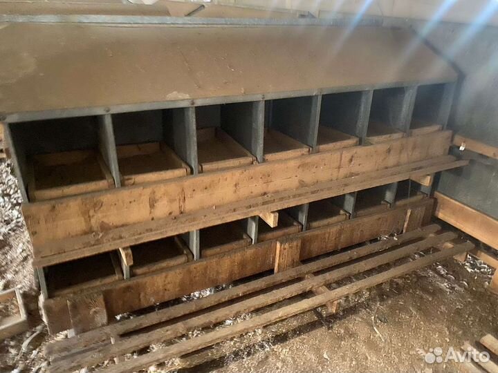 Гнездо для кур