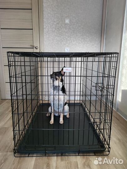 Клетка вольер для собак
