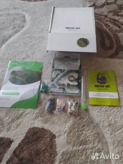 Муравьиная ферма