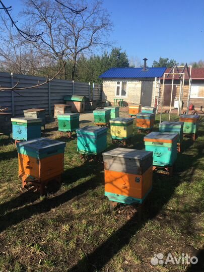 Продается мед