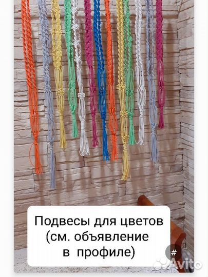 Сциндапсус