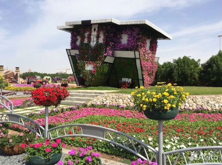 Тур в Dubai на 7 дней