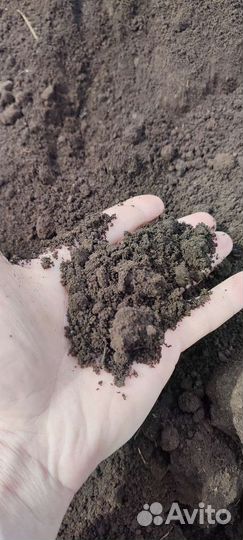 Земля чернозем