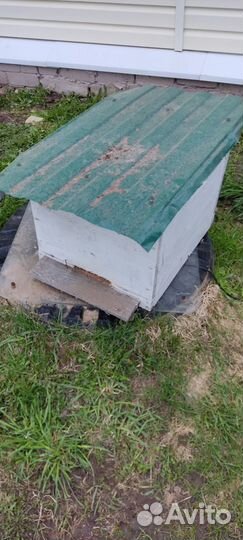 Ульи для пчел