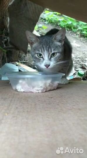 Настоящий пацан