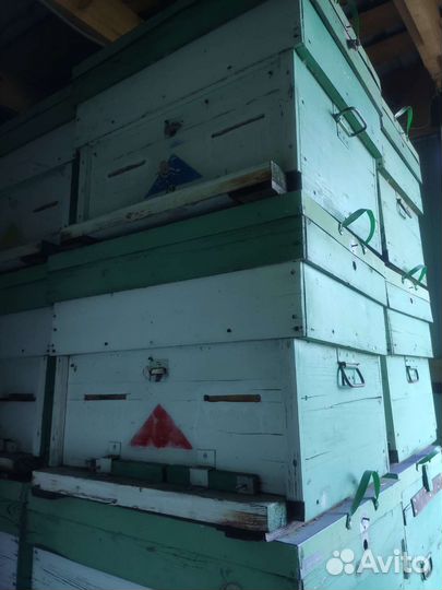 Улей для пчел бу 16 рам+2 магазина(сушь на 150)