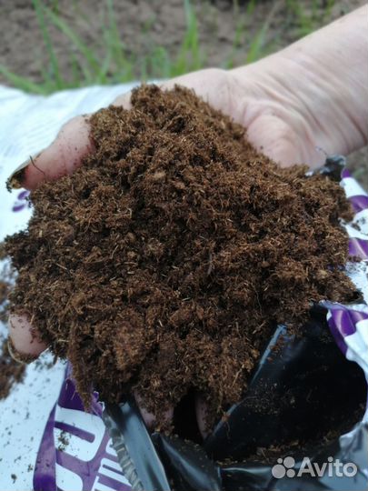 Верховой сфагновый торф кислый и нейтрализованный