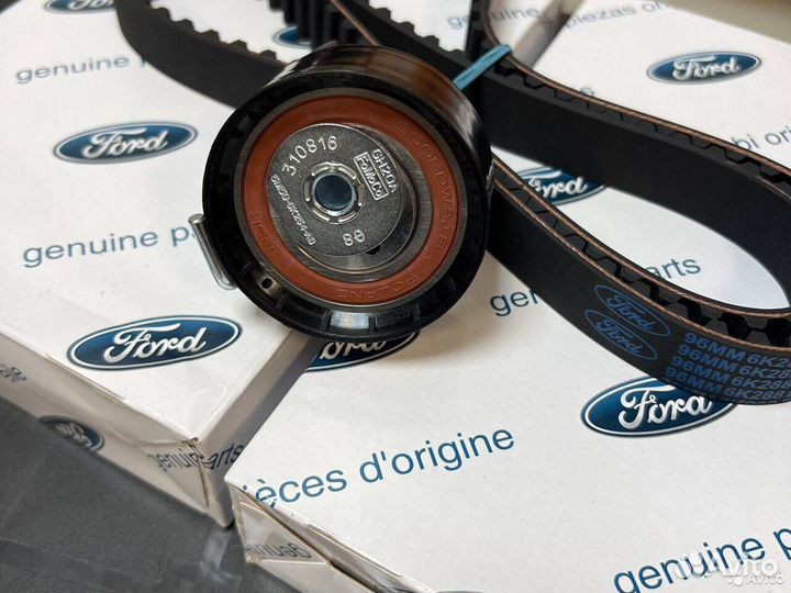 Ремкомплект грм Форд Фокус