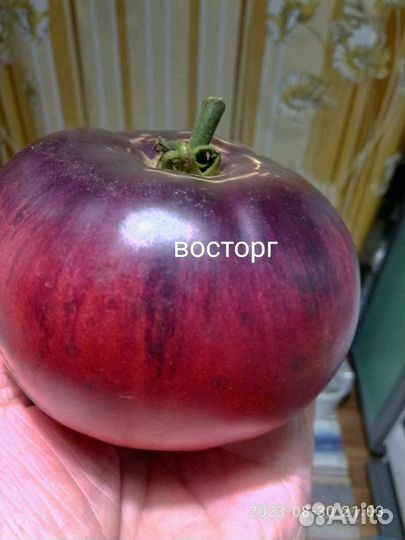 Семена сортовых томатов