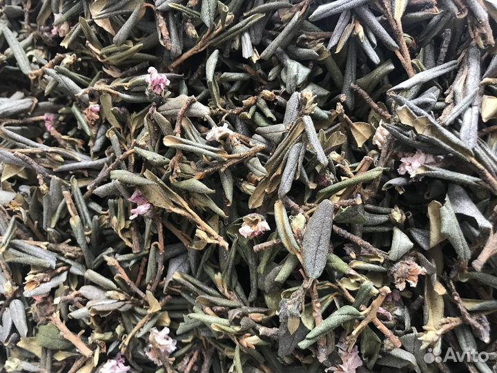 Саган-дайля