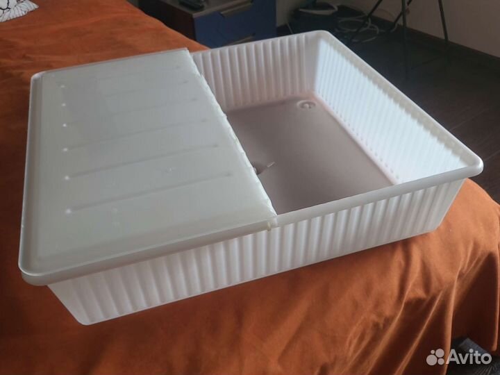 Кубики зайцева