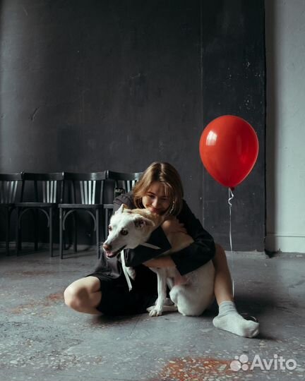 Портретный фотограф