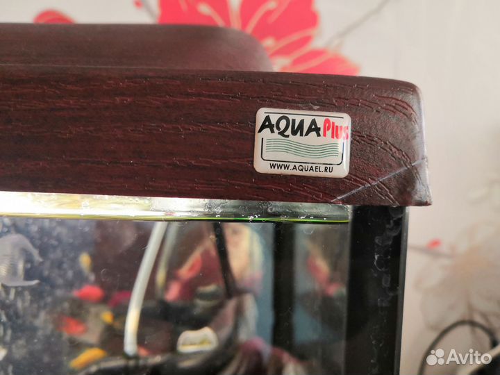 Аквариум aqua plus 100 л