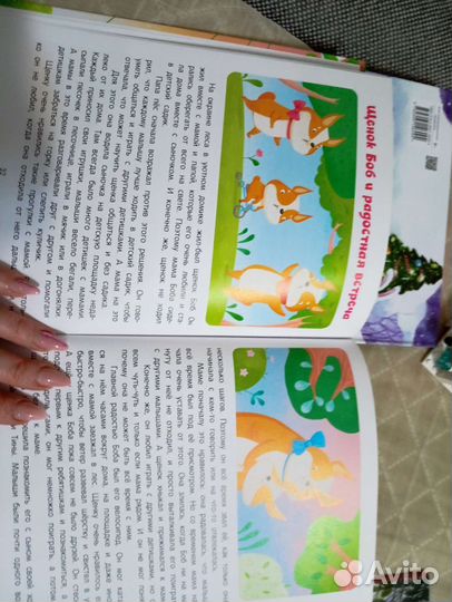 Датская книга