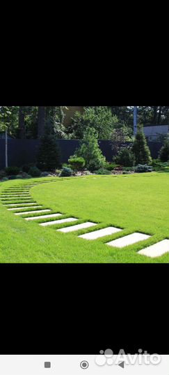 Укладка рулонного газона от производителя