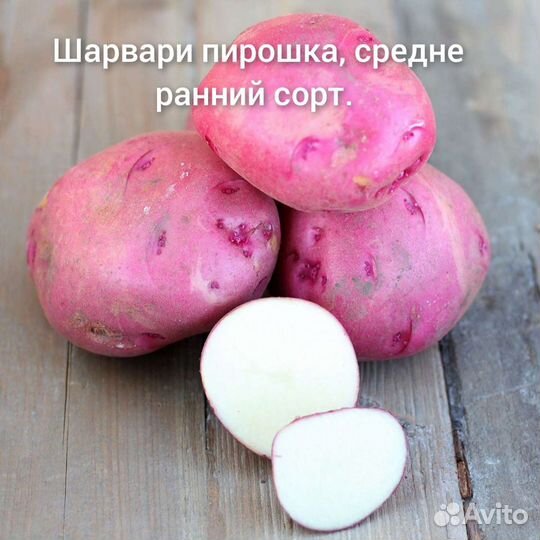 Картофель семенной сортовой