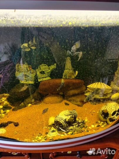 Украшение для аквариума