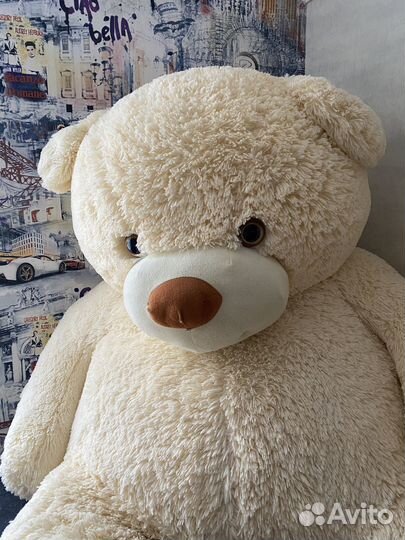 Плюшевый медведь