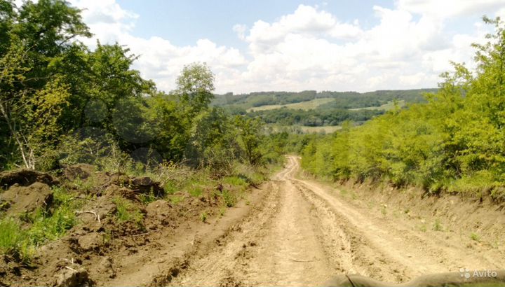 Участок 6,2 га (СНТ, ДНП)