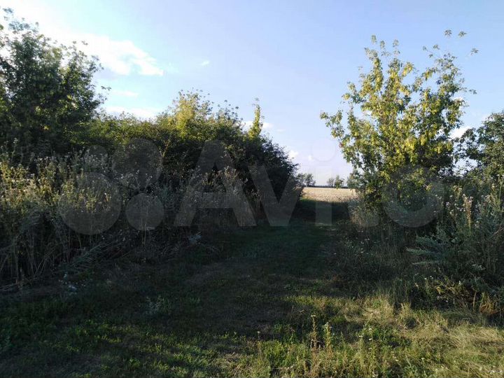 Дом 50 м² на участке 50 сот.