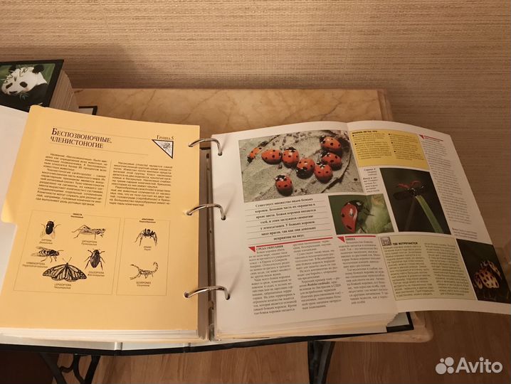 Книги (наборная коллекция) 